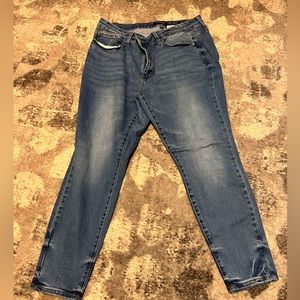 Judy Blue Skinny Fit Jeans Size 18W